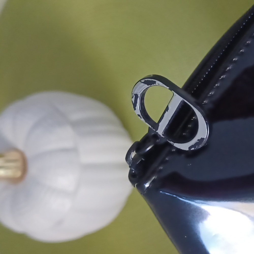 DIOR Cosmetic Bag - Picture 6 of 12